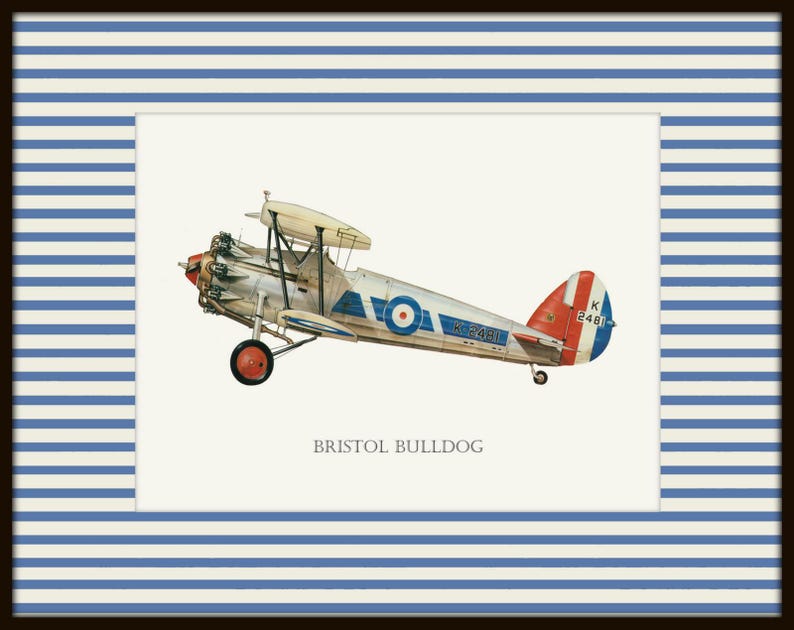 May include: Framed print of a vintage Bristol Bulldog biplane. The aircraft is painted in silver, white, red, and blue, with a roundel on the fuselage and tail. The print is set against a cream background, framed with a blue and white striped border.