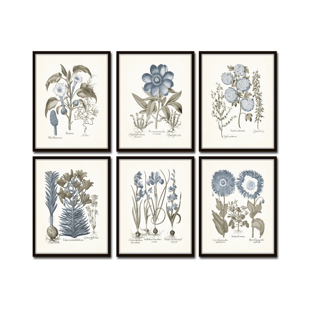 Vintage Sepia and Blue Print Set No. 6, Botanical Print Sets, Vintage
