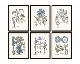 Vintage Sepia and Blue Print Set No. 6, Botanical Print Sets, Vintage Botanical Art, Wall Art, Antique Botanical, Chinoiserie, Vintage Art