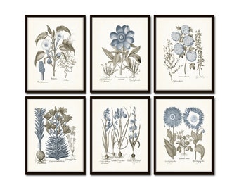 Vintage Sepia and Blue Print Set No. 6, Botanical Print Sets, Vintage Botanical Art, Wall Art, Wall Decor, Gallery Wall Art