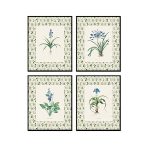 French Blue Botanical Print Set with Floral Block Print Border, Botanical Print Set, Botanical Art, Blue Floral Art, Grandmillennial Art