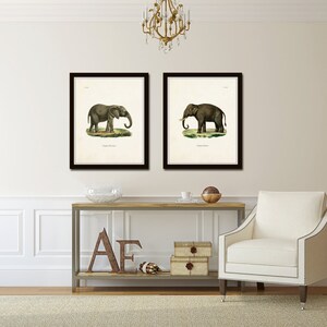 May include: Two framed black and white illustrations of elephants. The illustrations are in a vintage style and feature detailed drawings of the elephants. The frames are black and have a simple design.