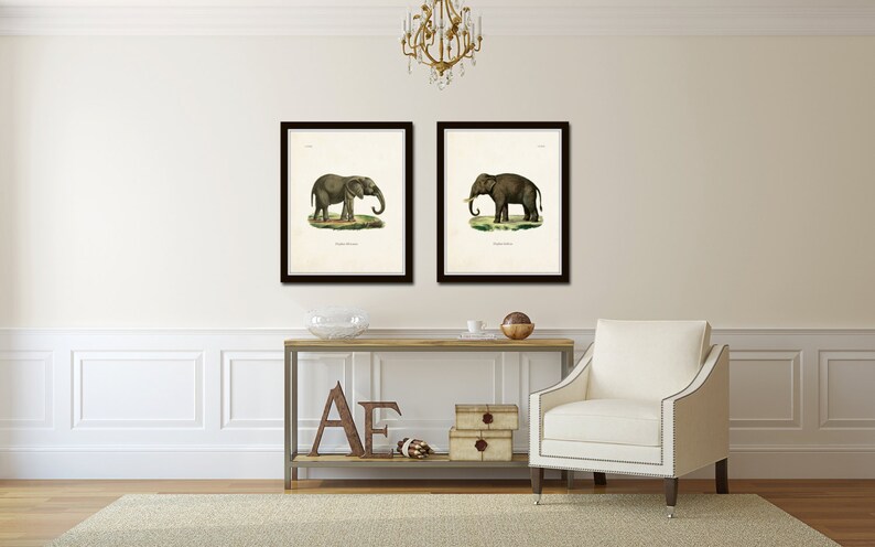 May include: Two framed black and white illustrations of elephants. The illustrations are in a vintage style and feature detailed drawings of the elephants. The frames are black and have a simple design.