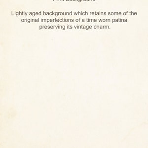 Puede incluir: Un fondo de estilo vintage con un color ligeramente envejecido, blanco roto. El fondo tiene una textura sutil y algunas imperfecciones tenues, lo que le da una p&aacute;tina desgastada por el tiempo.