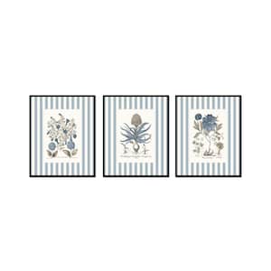 Blue Stripe Sepia and Blue Botanical Art, Set of Three Prints, Vintage Botanical Art, Wall Art, Antique Botanical, Chinoiserie, Vintage Art