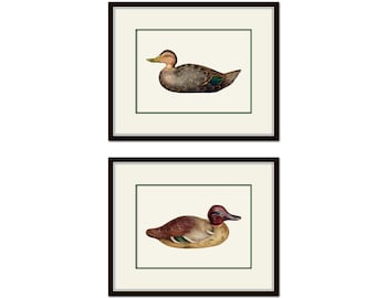 Vintage Duck Decoys Colllage Print Set, Giclee Art Print, Hunting Art,  Hunt Club Art, Duck Prints, Home Decor, Bird Prints, Art Prints