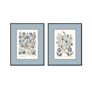Può includere: Un set di due stampe botaniche incorniciate con illustrazioni floreali blu e grigie su sfondo crema. Ogni stampa è racchiusa in un passe-partout azzurro e una sottile cornice nera, mostrando disegni dettagliati di piante con etichette.