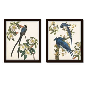 Blue Birds Print Set No. 1, Botanical Prints, Wall Art, Prints, Giclee, Vintage Bird Prints, Audubon Bird Prints, Magnolia, image 1