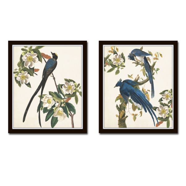 Blue Birds Print Set No. 1, Botanical Prints, Wall Art, Prints, Giclee, Vintage Bird Prints, Audubon Bird Prints, Magnolia,