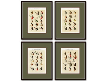 Vintage Fly Fishing Print Set No. 1, Fly Fishing Flies, Fishing Art, Sportsman Art, Cabin Art, Vintage Fishing Art, Fish Art, Trout Art