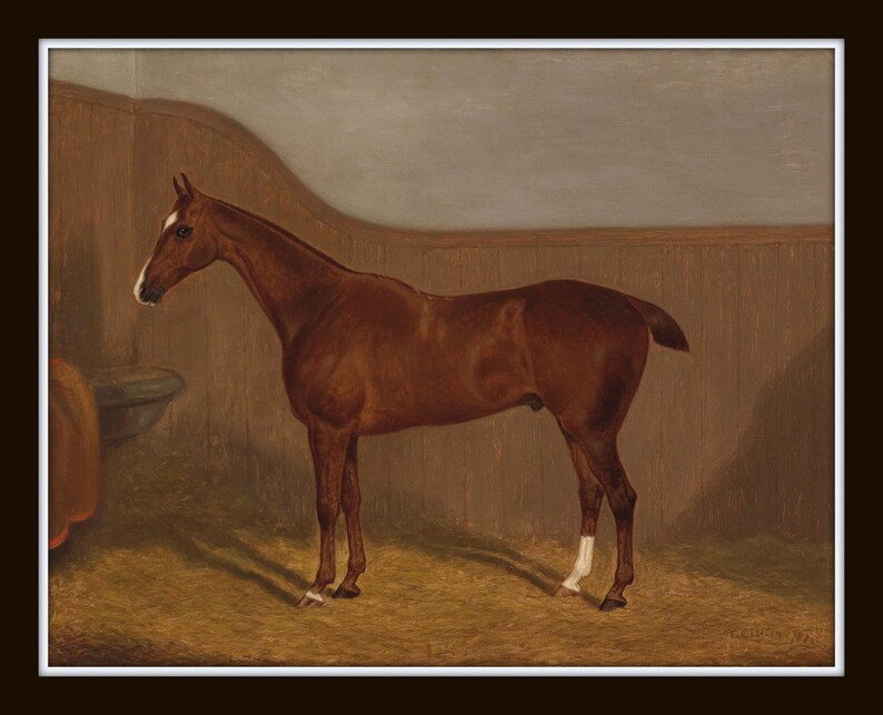 May include: A brown horse stands in a stable with wooden walls. The horse is facing left and has a white marking on its right hind leg.