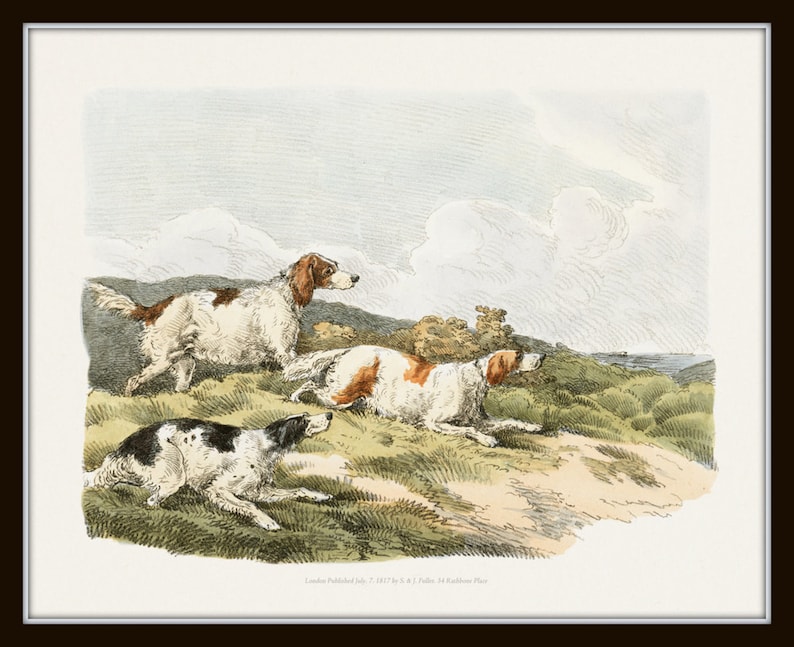 May include: Three white and brown dogs with black spots are running through a grassy field. The dogs are in a hunting pose, with their heads down and their tails wagging. The sky is cloudy and the background is a distant coastline.