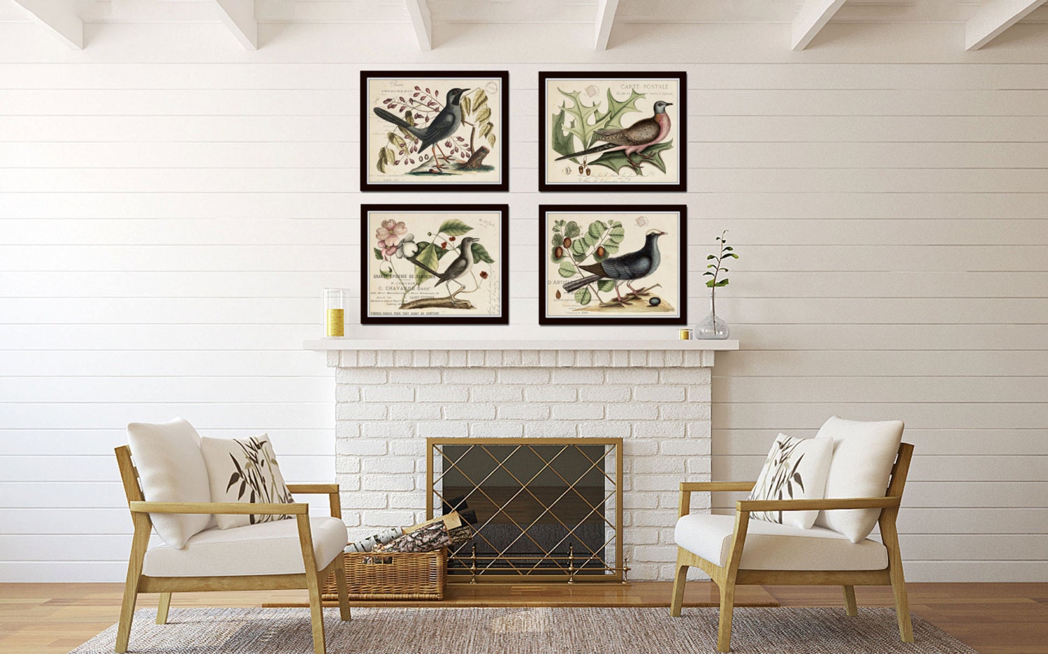 Vintage Bird and Botanical Print Set No.7 Giclee Art Prints | Etsy