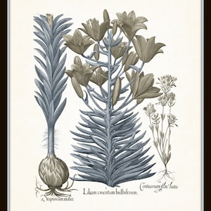 Vintage Sepia and Blue Print Set No. 6, Botanical Print Sets, Vintage ...