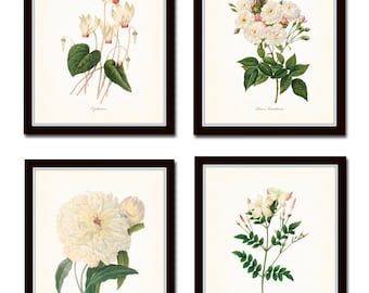 White Botanical Print Set No. 2, Giclee, Antique Botanical Prints, French Botanical Art, Home Decor, Wall Art, White Flowers