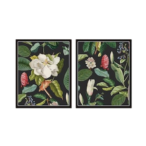 Vintage Magnolia Botanical Collage on Black Set of Two, Vintage Botanical Prints, Southern Decor, Magnolia Prints, French Botanical Art