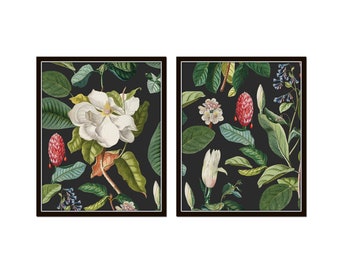 Vintage Magnolia Botanical Collage on Black Set of Two, Vintage Botanical Prints, Print Sets, Magnolia Prints