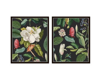 Vintage Magnolia Botanical Collage on Black Set of Two, Vintage Botanical Prints, Southern Decor, Magnolia Prints, French Botanical Art