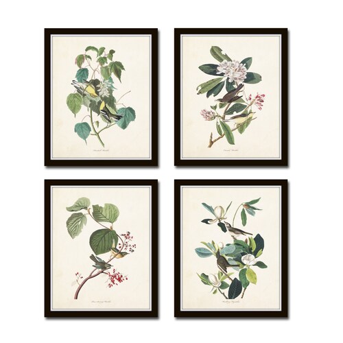 Audubon Bird Prints Set No. 16, Botanical Prints, Audubon Prints, Vintage Bird Art, Giclee, Home Decor, Wall Art, Vintage Bird Prints