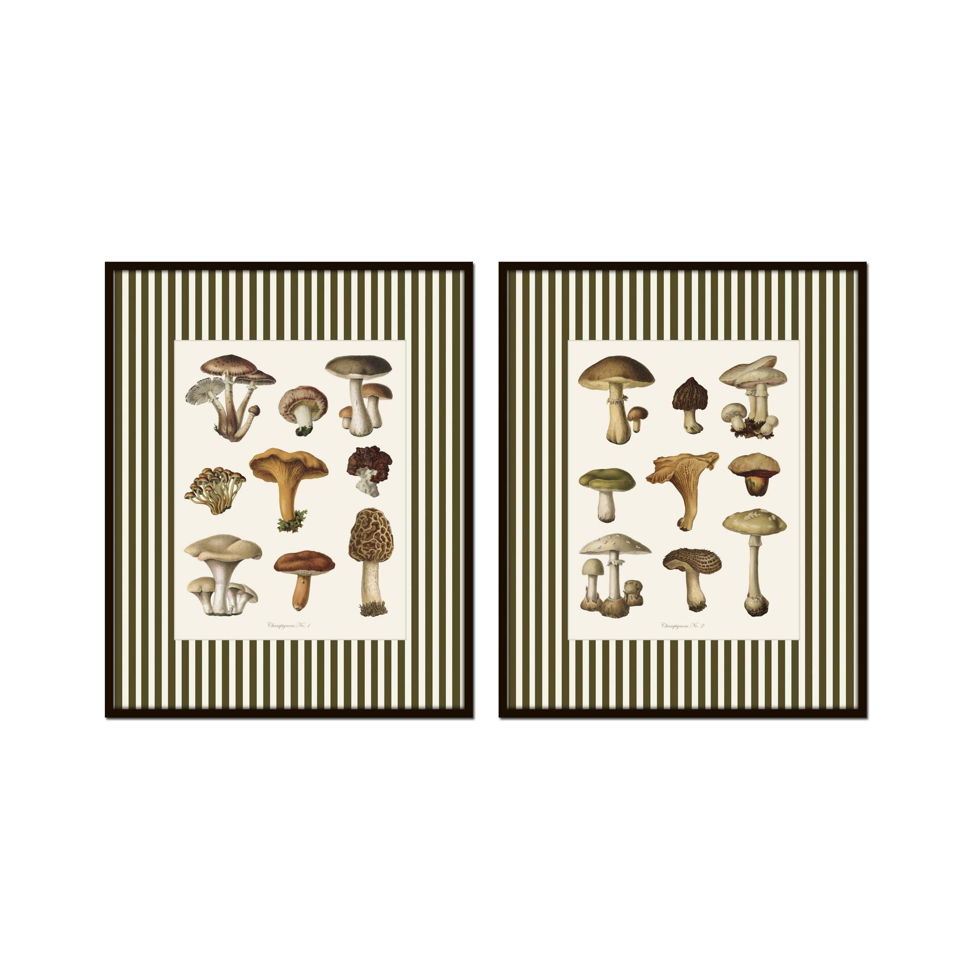 Striped French Mushroom Print Set, Antique Mushroom Prints, Vintage Mushroom Prints, Kitchen Art, Vintage Art, Home Decor, Wall Art, Giclee