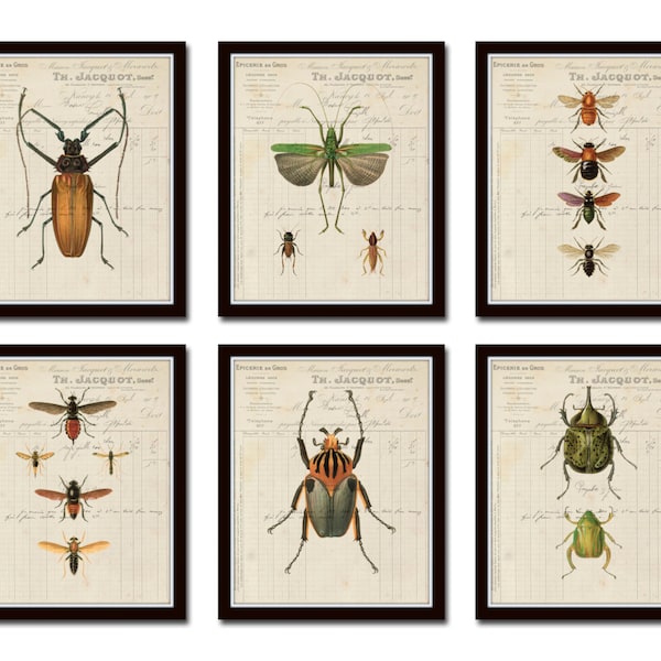 French Insect Study Print Set No. 1, Print Set, Giclee, Art, Natural History Art, Illustration, Collage, Wall Art, Insect Prints, Bee Print