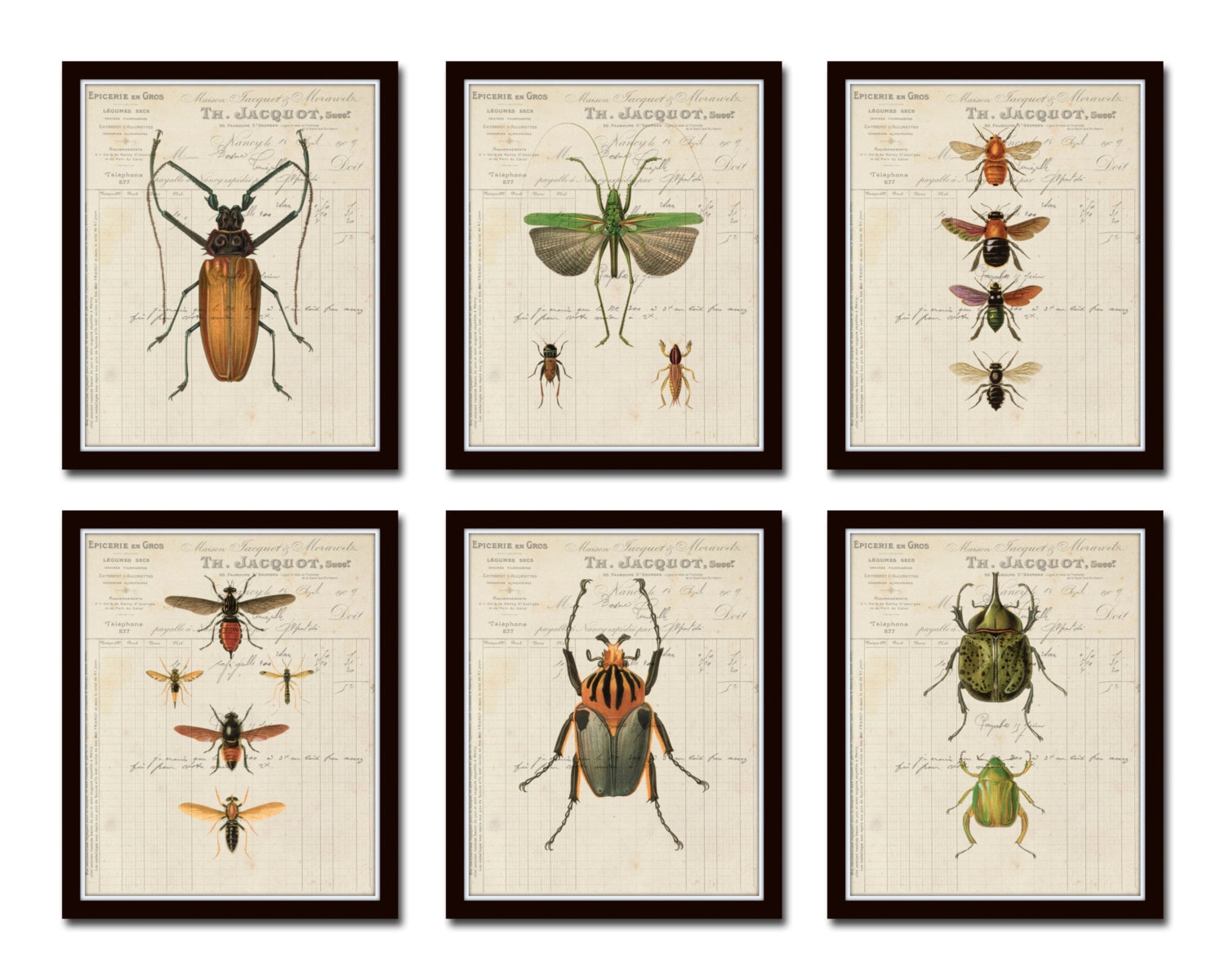 French Insect Study Print Set No. 1, Print Set, Giclee, Art, Insect Art, Collage, Wall Art, Insect Prints, Bee Print