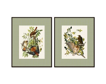Láminas vintage de halcón con borde de cuadros verdes. Juego de dos láminas vintage de pájaros. Giclée. Decoración de pared.