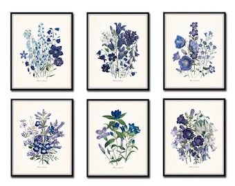Botanical Print Set Fleurs de Jardin Botaical Print Set No. 6, Botanical Prints, Giclee, Wildflower Art Prints, Vintage Botanical
