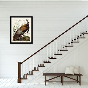 May include: A framed print of a brown and white wild turkey with a red head and wattle. The turkey is standing in a field of green grass and reeds. The print is framed in a dark brown frame.