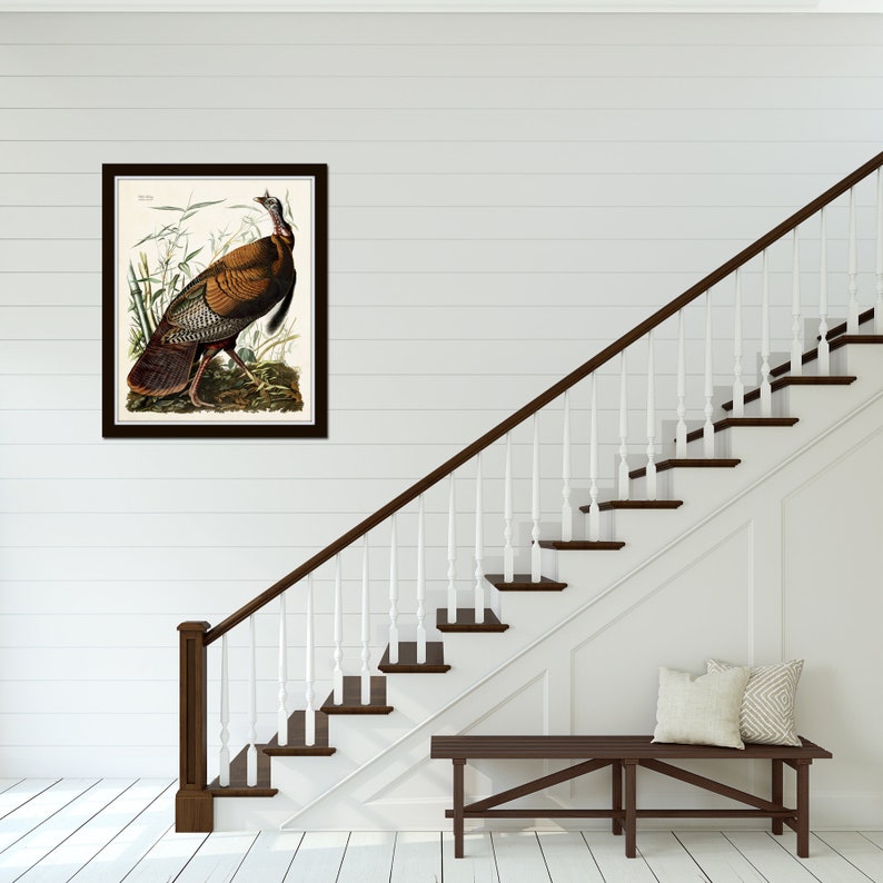 May include: A framed print of a brown and white wild turkey with a red head and wattle. The turkey is standing in a field of green grass and reeds. The print is framed in a dark brown frame.