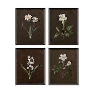 Antique English Botanical Print Set, Moody Giclee Prints, White Floral Heritage Art