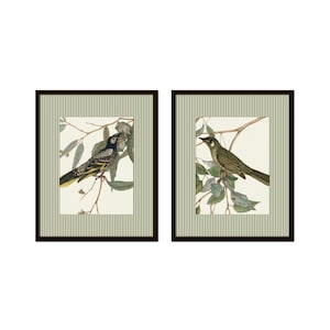 Striped Vintage Birds Print Set, Botanical Prints, Bird Art, Home Decor, Wall Art, Vintage Art,Vintage Bird Art, English Country Cottage Art