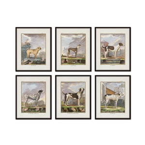 Vintage French Dogs Print Set No. 3, Vintage Dog Art, Antique Dog Art, Wall Art, Giclee, Home Decor, Nursery Art, Antique French Animal Art