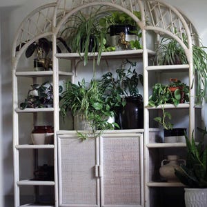 Boho Chic Blonde Rattan Arched Etagere Shelf | Vintage Wicker Bookcase Cabinet | Coastal Bohemian Display Storage Unit