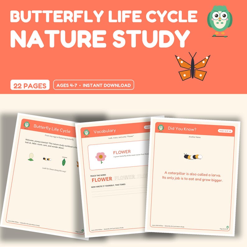 Spring Insects Worksheets Butterfly Life Cycle Nature Study, Homeschool Science Printable, Spring ...