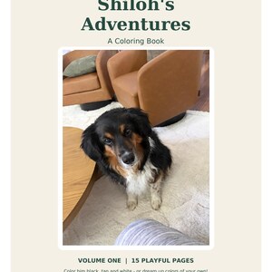 Puede incluir: Un libro para colorear titulado Shiloh's Adventures, que presenta una fotografía de un perro negro, canela y blanco. La portada incluye el texto Meet the Real Shiloh, Shiloh's Adventures, A Coloring Book, Volume One, 15 Playful Pages e instrucciones.