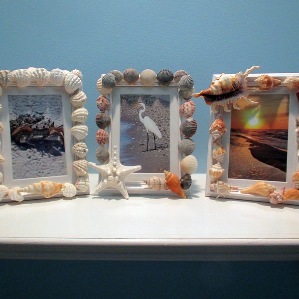 Seashell Frames Etsy