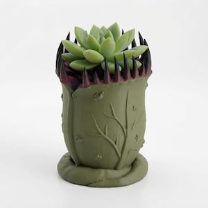 Può includere: Un vaso per piante verde chiaro a forma di pianta carnivora con un'apertura ampia, denti viola scuro e dettagli in rilievo raffiguranti rami e insetti. Una pianta succulenta verde chiaro è piantata all'interno del vaso su base circolare.