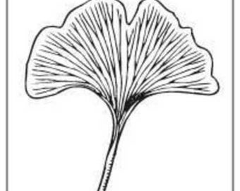 Gingko Bookplate