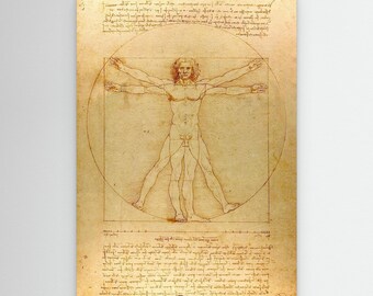 Leonardo da Vinci's Vitruvian Man