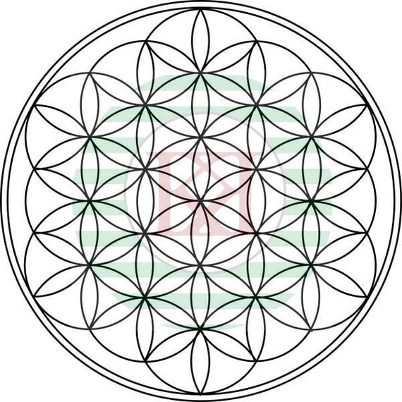 Flower of live download as TIFF in 600 dpi | Etsy