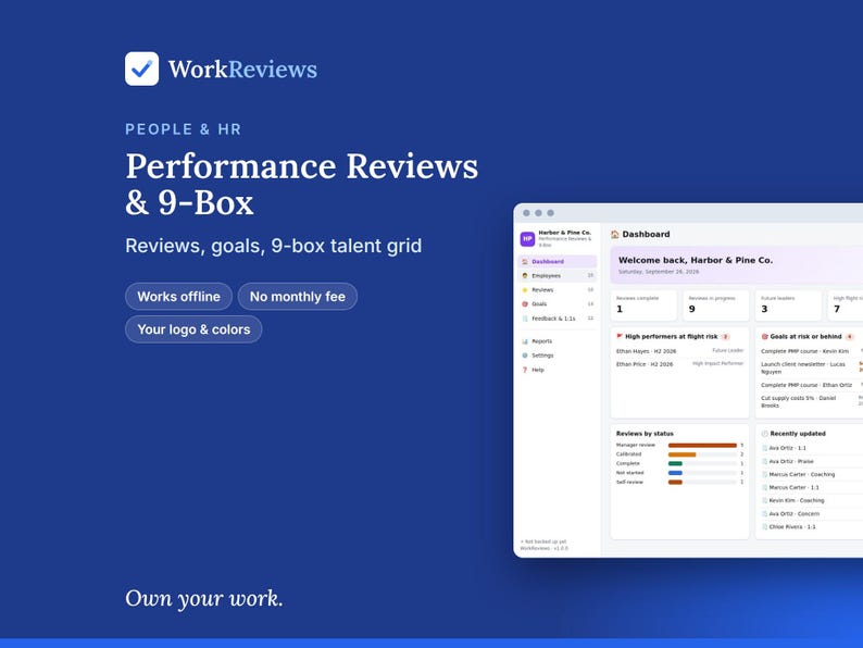 Performance Review & 9-Box App | Offline Business Template, No Monthly Fee | Your Logo, Colors and Custom Fields | Instant Download image 1