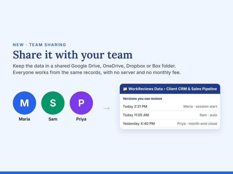 WorkReviews CRM Template, Client Tracker, Sales Pipeline App (Digital Download) image 6