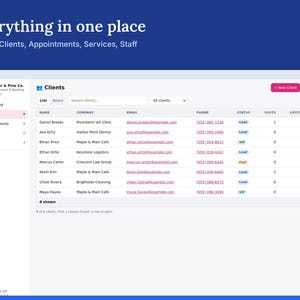 Appointment Booking Template, Salon Client Log & Scheduler, Booking System for Small Business | WorkReviews image 2