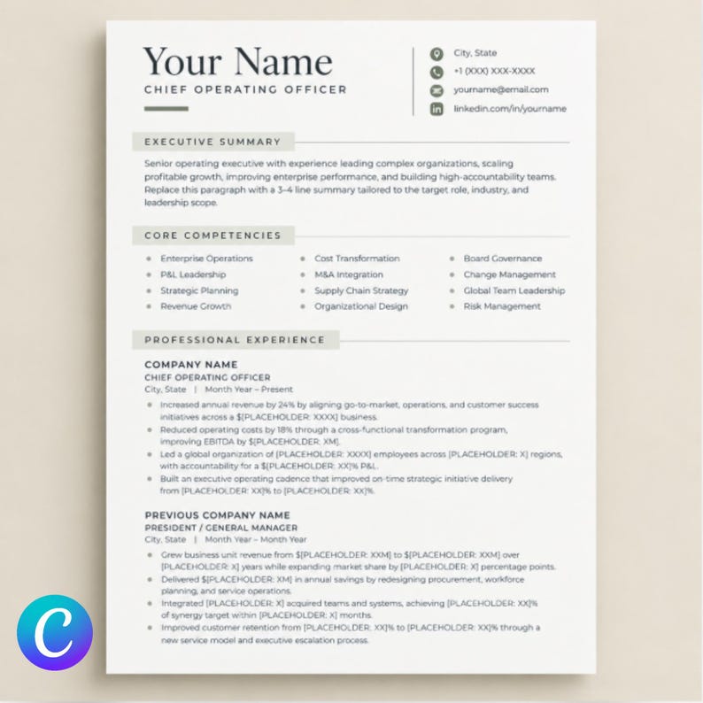 Executive Resume Template, Ats-friendly CEO and Director CV, Modern C ...