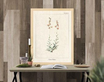 Succulent wall art, Vintage Botanical Prints, Herb Art Print, Botanical Wall Art, Botanical illustration, Printable Wall Art, Greenery Print