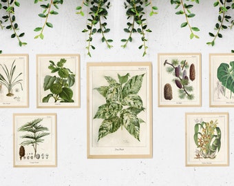 Set of 7 Greenery Prints, Greenery Wall Art, Greenery Decor, Green Wall Art,Botanical illustration,Botanical Print,Foliage Print