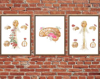 Floral Anatomy Print Set - Etsy