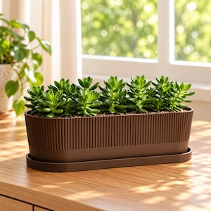 3D Printed Rectangular Succulent Planter with Tray, Modern Indoor Plant Pot (Windowsill)