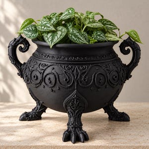 May include: A matte black planter with a rounded body, featuring intricate raised scrollwork and floral relief patterns. The vessel stands on three clawed feet and includes two ornate, curved side handles, containing a green and silver plant.